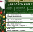 ВИЭМ приглашает на новогодние программы и мастер-классы - ВИЭМ