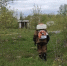 В Торжке проводится обработка очагов произрастания борщевика - GorodTorzhok.Ru