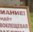 В Торжке обработали от клещей общественные места - GorodTorzhok.Ru