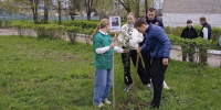 Торжок поддержал патриотическую акцию «Аллея Героев» - GorodTorzhok.Ru