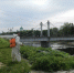Борьба с борщевиком в Торжке - GorodTorzhok.Ru