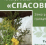 «Спасовки» отгуляют в Торжке - GorodTorzhok.Ru