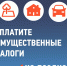 1декабря –срок уплаты имущественных налогов физическими лицами - Торжокский район